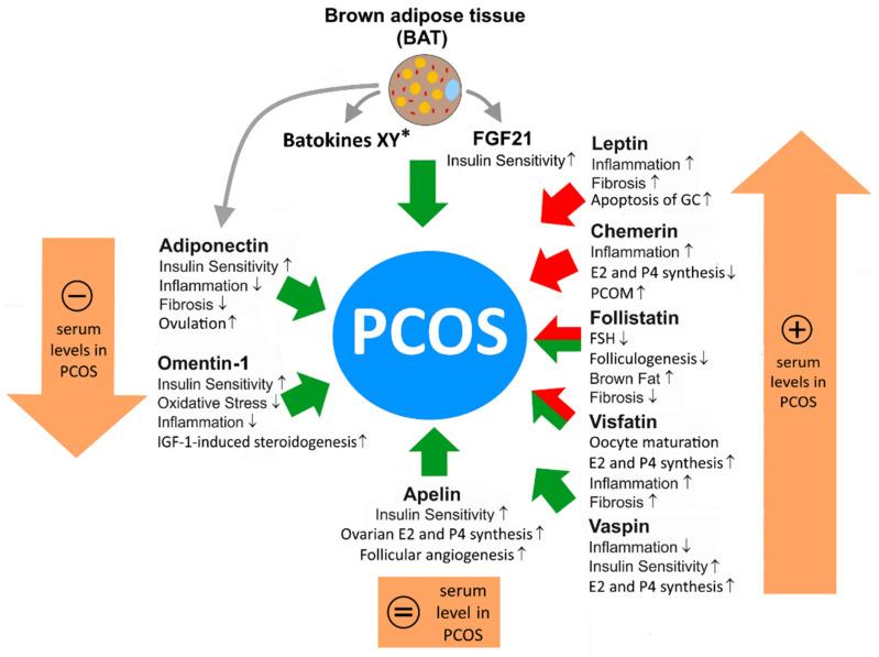 https://cdn.ncbi.nlm.nih.gov/pmc/blobs/9674/9598769/c4ba3767718c/biomedicines-10-02503-g001.jpg