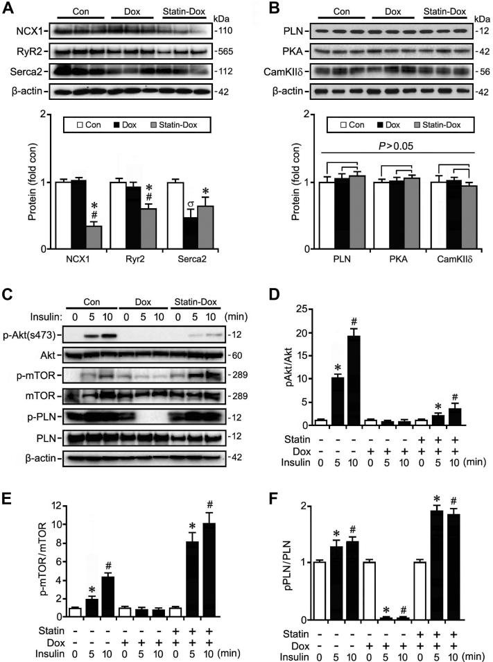 https://cdn.ncbi.nlm.nih.gov/pmc/blobs/9678/9764135/6059ae395304/gr3.jpg
