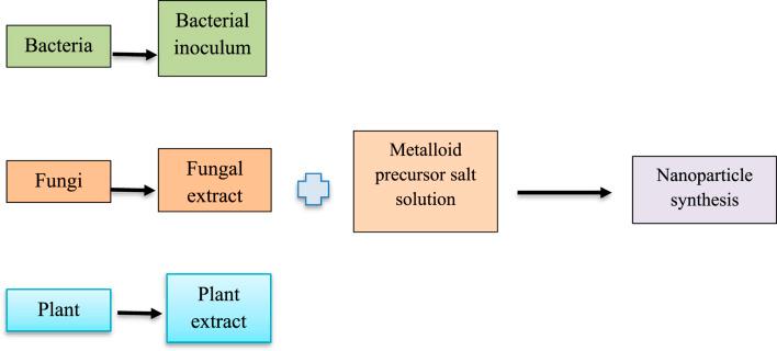 https://cdn.ncbi.nlm.nih.gov/pmc/blobs/967a/9549281/2407d0623bff/fchem-10-994724-g002.jpg