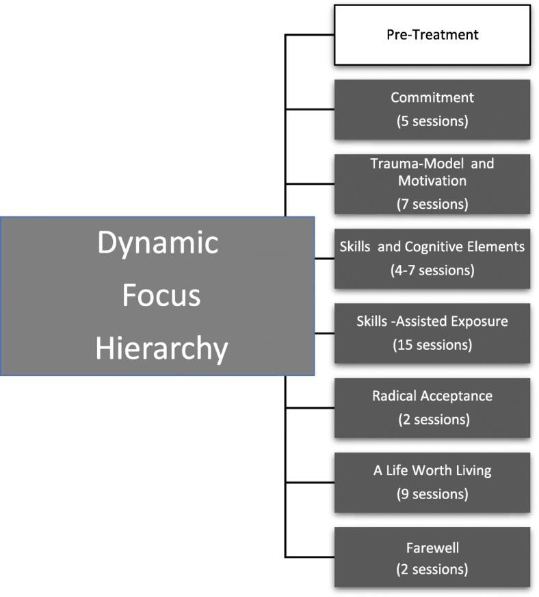 https://cdn.ncbi.nlm.nih.gov/pmc/blobs/967b/6402166/abc7e9c6aaf3/40479_2019_99_Fig1_HTML.jpg