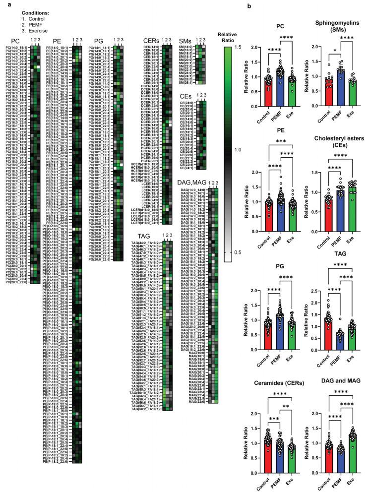 https://cdn.ncbi.nlm.nih.gov/pmc/blobs/9680/12193155/43e305c3d307/ijms-26-05450-g009.jpg