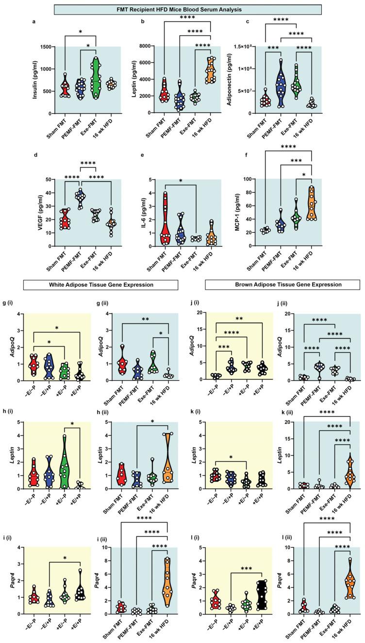 https://cdn.ncbi.nlm.nih.gov/pmc/blobs/9680/12193155/f0bba96e8ca7/ijms-26-05450-g006.jpg