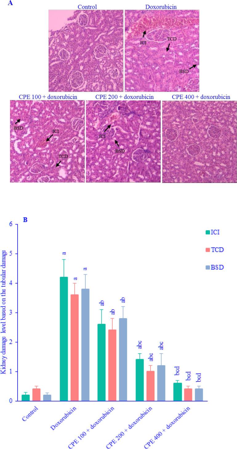 https://cdn.ncbi.nlm.nih.gov/pmc/blobs/9681/11648341/1530fd60b3b7/RPS-19-591-g004.jpg