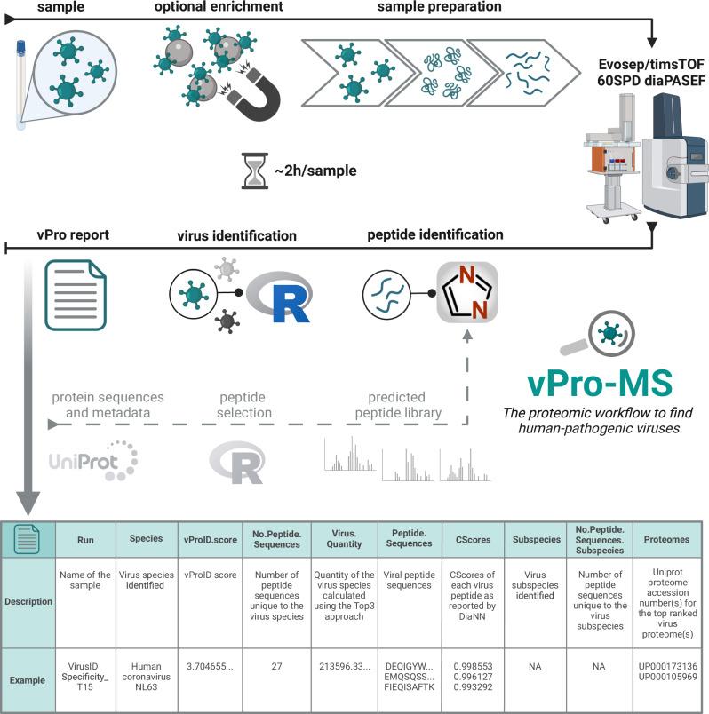 https://cdn.ncbi.nlm.nih.gov/pmc/blobs/9681/12314097/0a12f8faa43e/41467_2025_62469_Fig1_HTML.jpg