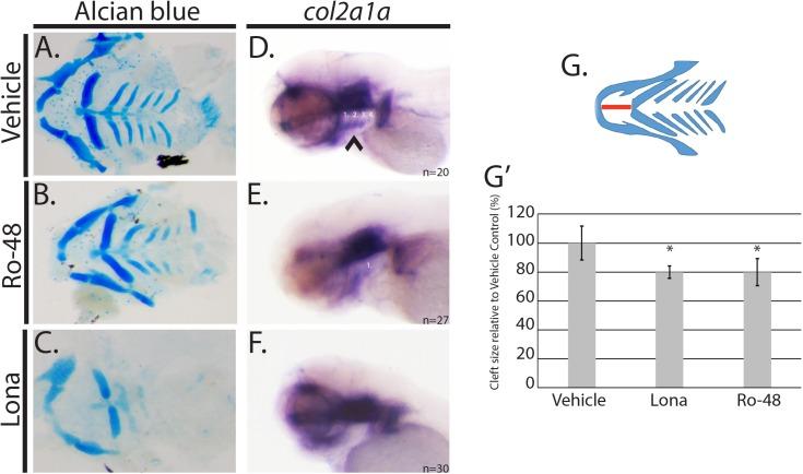 https://cdn.ncbi.nlm.nih.gov/pmc/blobs/9682/5501617/a4bd2d725ec4/pone.0180856.g004.jpg