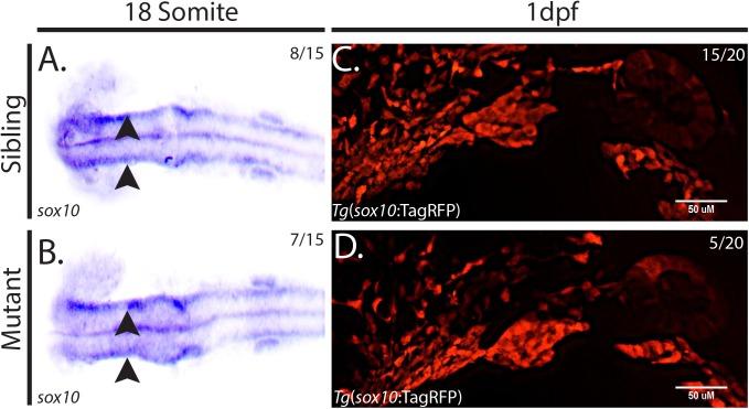 https://cdn.ncbi.nlm.nih.gov/pmc/blobs/9682/5501617/f73e8cacafb8/pone.0180856.g002.jpg