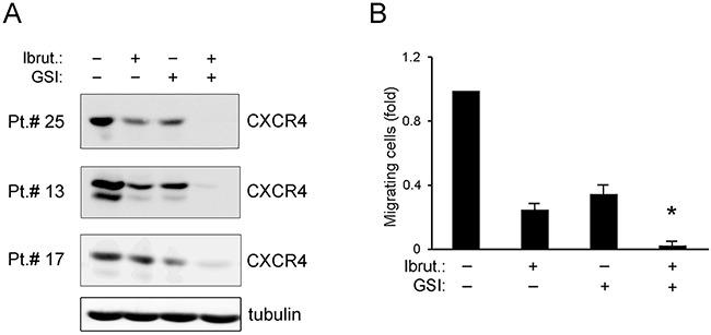 https://cdn.ncbi.nlm.nih.gov/pmc/blobs/9682/5601728/67b533ea82c9/oncotarget-08-59235-g005.jpg
