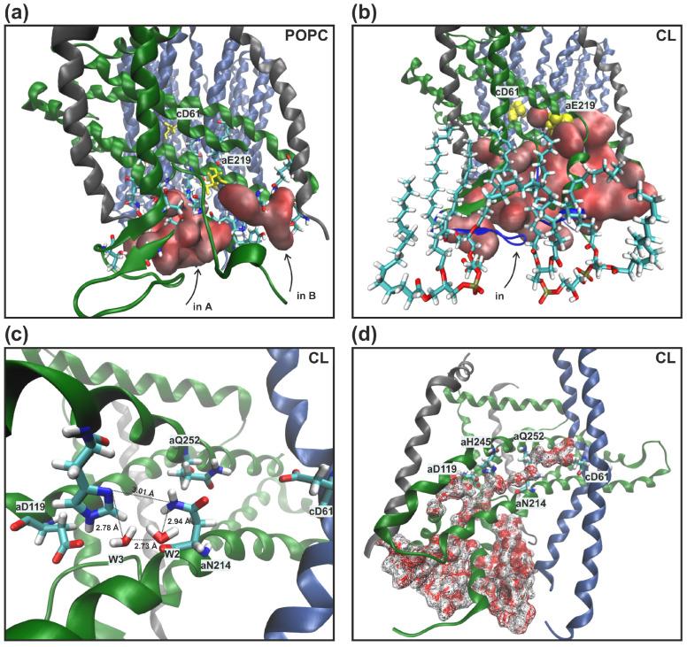https://cdn.ncbi.nlm.nih.gov/pmc/blobs/9683/10532555/a255d83cd6e7/life-13-01816-g004.jpg