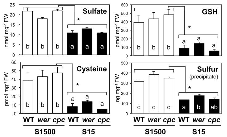 https://cdn.ncbi.nlm.nih.gov/pmc/blobs/9683/6524346/017b30d6d32a/plants-08-00106-g005.jpg