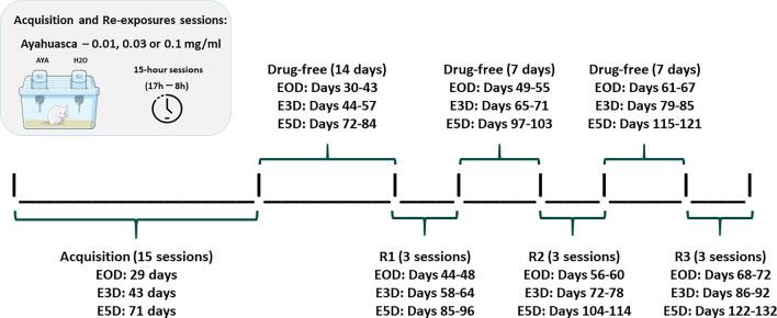 https://cdn.ncbi.nlm.nih.gov/pmc/blobs/9684/11499999/c8e4e4050172/41598_2024_75077_Fig7_HTML.jpg