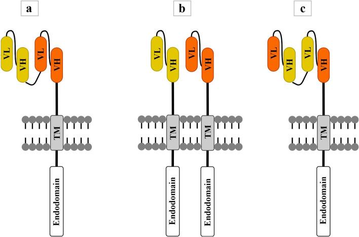https://cdn.ncbi.nlm.nih.gov/pmc/blobs/9688/9487061/1031108c4f59/40364_2022_417_Fig2_HTML.jpg