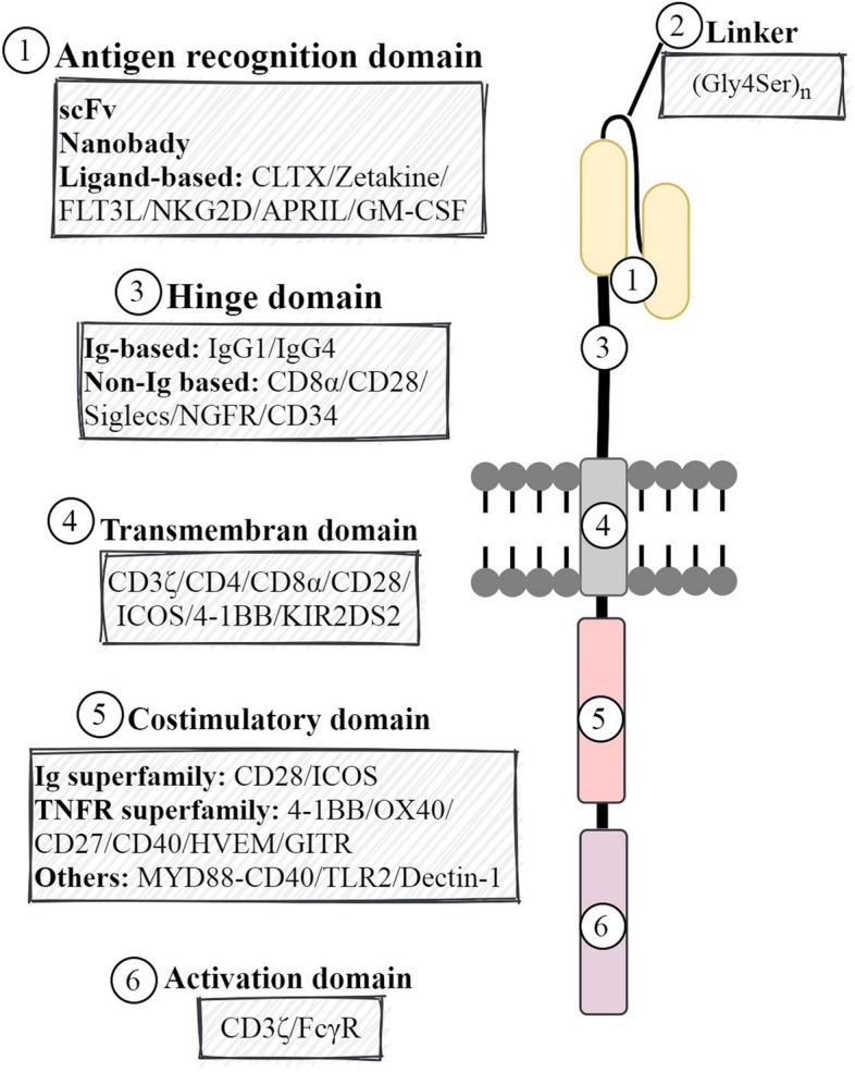 https://cdn.ncbi.nlm.nih.gov/pmc/blobs/9688/9487061/11d0e097a0bf/40364_2022_417_Fig5_HTML.jpg