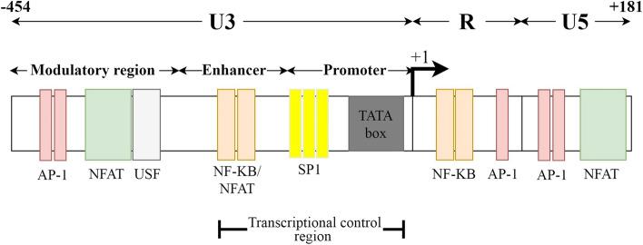 https://cdn.ncbi.nlm.nih.gov/pmc/blobs/9688/9487061/ee842d09c281/40364_2022_417_Fig7_HTML.jpg