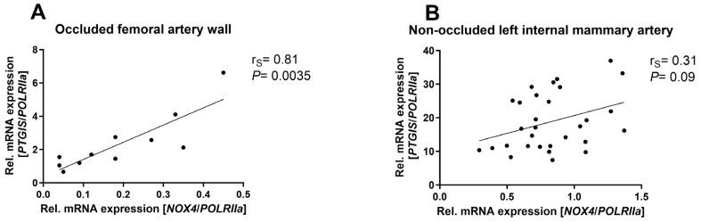 https://cdn.ncbi.nlm.nih.gov/pmc/blobs/9689/11504732/de60cab017d8/antioxidants-13-01178-g001.jpg