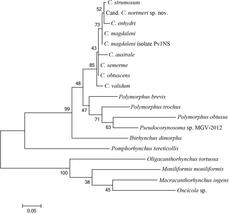 https://cdn.ncbi.nlm.nih.gov/pmc/blobs/9689/5772432/dc633774de27/gr5.jpg