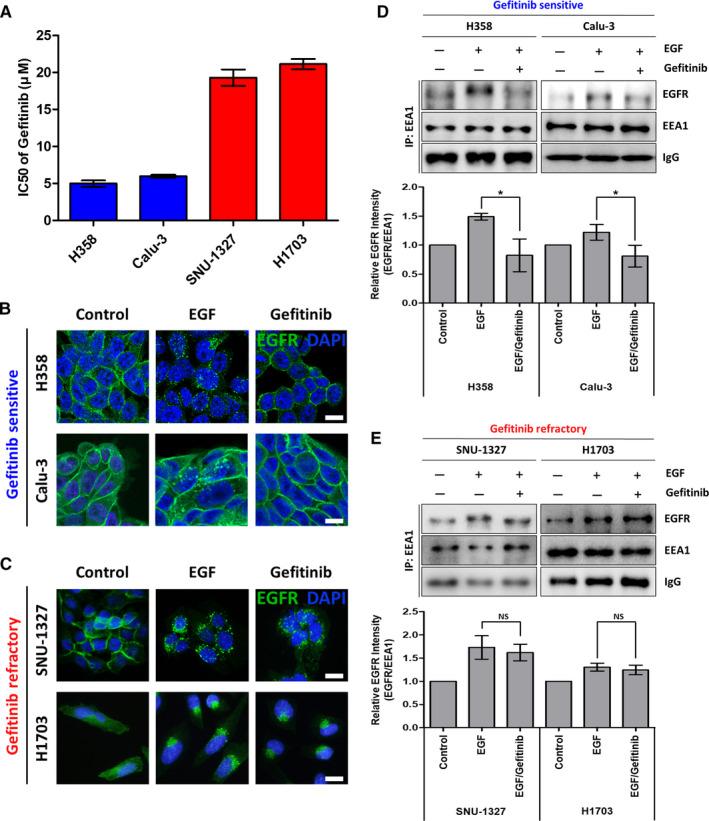 https://cdn.ncbi.nlm.nih.gov/pmc/blobs/9689/7826488/613029a7c42b/CAM4-10-372-g001.jpg