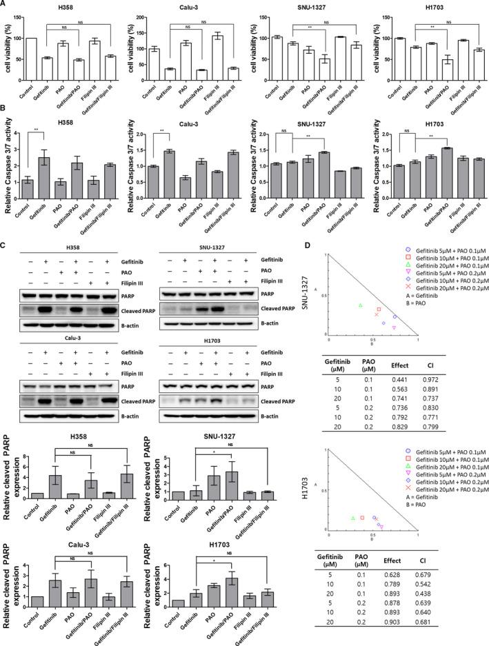 https://cdn.ncbi.nlm.nih.gov/pmc/blobs/9689/7826488/bf7c044487a5/CAM4-10-372-g003.jpg
