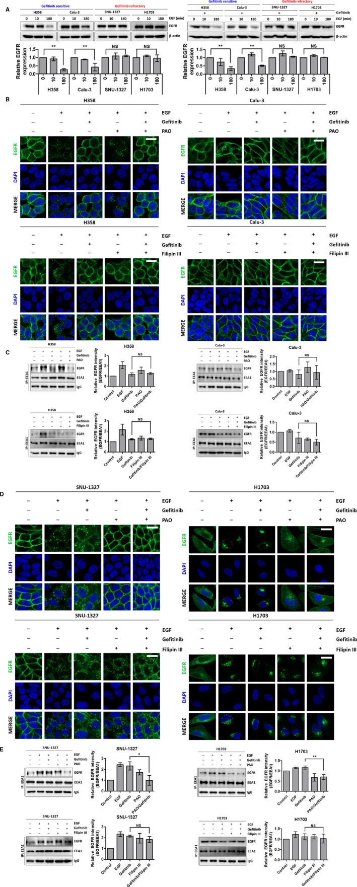 https://cdn.ncbi.nlm.nih.gov/pmc/blobs/9689/7826488/eeafb3f3b054/CAM4-10-372-g002.jpg