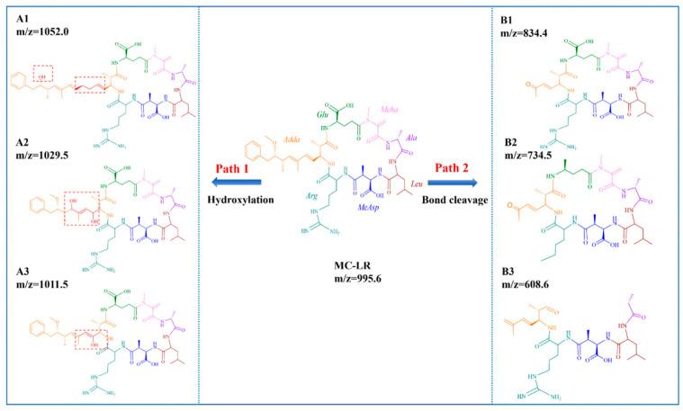 https://cdn.ncbi.nlm.nih.gov/pmc/blobs/968a/11598611/35a7dbf7e0e0/toxins-16-00455-g007.jpg