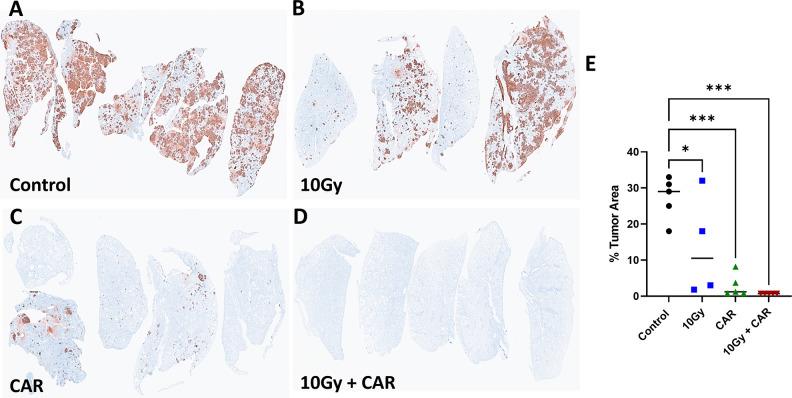 https://cdn.ncbi.nlm.nih.gov/pmc/blobs/968a/11695362/2c26c691e6ab/fimmu-15-1499471-g006.jpg