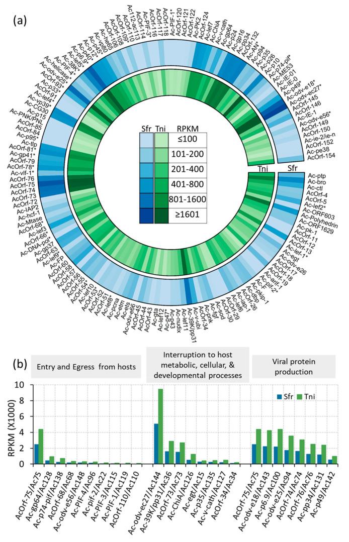 https://cdn.ncbi.nlm.nih.gov/pmc/blobs/968b/8037200/730fe4f29a7c/ijms-22-03568-g005.jpg