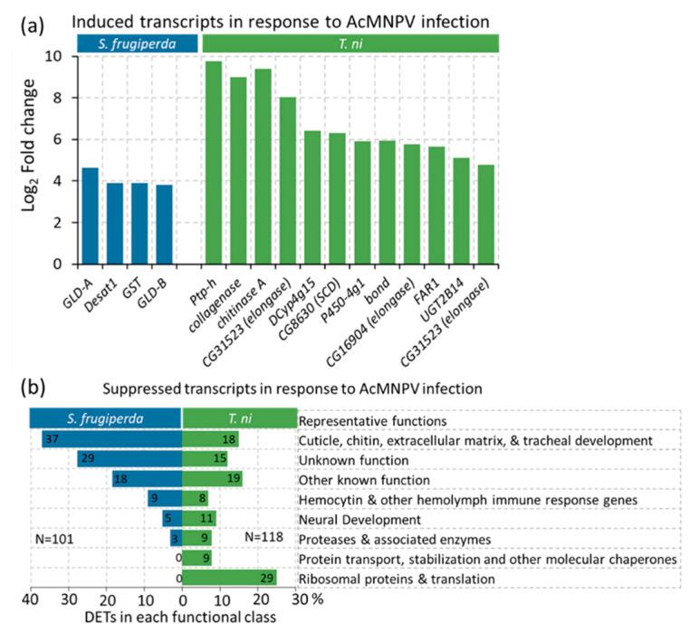 https://cdn.ncbi.nlm.nih.gov/pmc/blobs/968b/8037200/b5fa7505c658/ijms-22-03568-g004.jpg