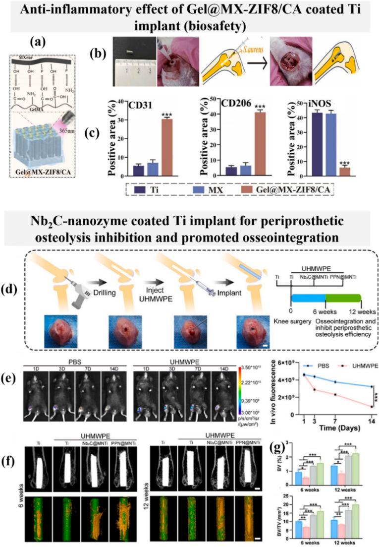 https://cdn.ncbi.nlm.nih.gov/pmc/blobs/968c/12137176/0df74021ba32/gr11.jpg