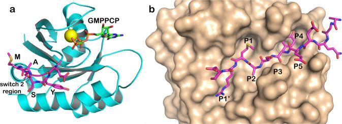 https://cdn.ncbi.nlm.nih.gov/pmc/blobs/9690/7935941/060dee54ed92/42003_2021_1818_Fig1_HTML.jpg
