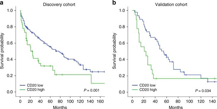 https://cdn.ncbi.nlm.nih.gov/pmc/blobs/9691/6189087/b9503eeac16a/41416_2018_266_Fig2_HTML.jpg