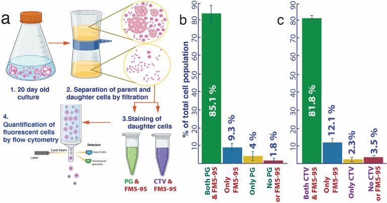 https://cdn.ncbi.nlm.nih.gov/pmc/blobs/9692/10963365/63d38493083c/41598_2024_57369_Fig7_HTML.jpg