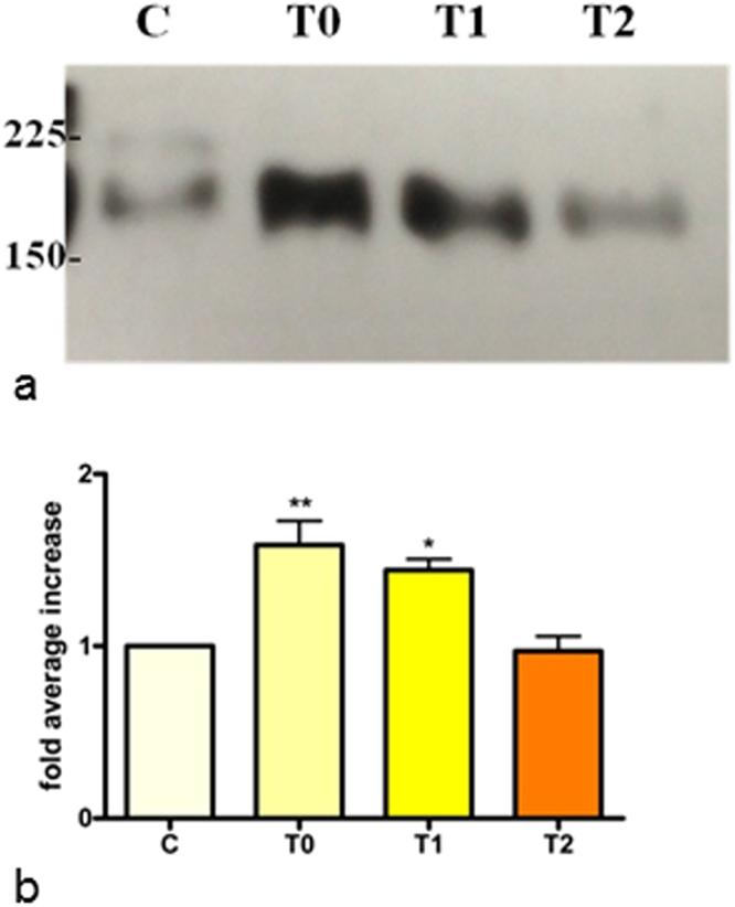 https://cdn.ncbi.nlm.nih.gov/pmc/blobs/9692/5854732/4871ae97edd3/41598_2018_22861_Fig2_HTML.jpg