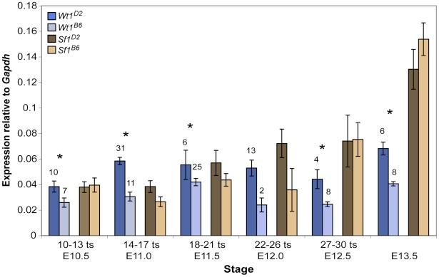 https://cdn.ncbi.nlm.nih.gov/pmc/blobs/9693/3320579/e8f885e272e2/pgen.1002569.g005.jpg