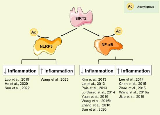 https://cdn.ncbi.nlm.nih.gov/pmc/blobs/9696/10479864/5ca1b3686330/NRR-19-124-g003.jpg