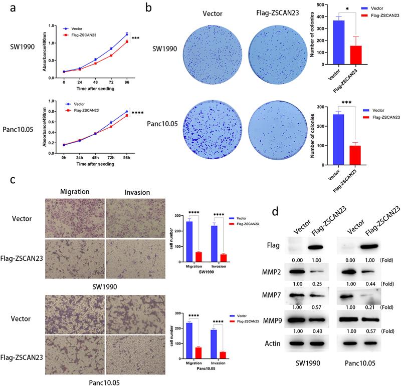 https://cdn.ncbi.nlm.nih.gov/pmc/blobs/9696/10793710/0229a5a77d38/KCBT_A_2302924_F0002_OC.jpg
