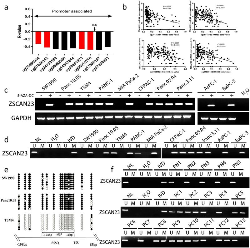 https://cdn.ncbi.nlm.nih.gov/pmc/blobs/9696/10793710/207103168dff/KCBT_A_2302924_F0001_OC.jpg