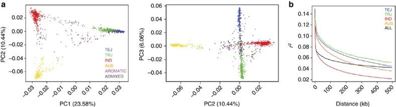 https://cdn.ncbi.nlm.nih.gov/pmc/blobs/9696/4742900/12655498624d/ncomms10532-f1.jpg