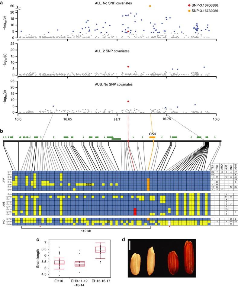 https://cdn.ncbi.nlm.nih.gov/pmc/blobs/9696/4742900/b9de35b446a1/ncomms10532-f6.jpg