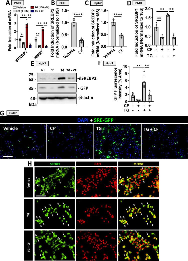 https://cdn.ncbi.nlm.nih.gov/pmc/blobs/9698/8828868/3d45208e73ed/41467_2022_28240_Fig2_HTML.jpg
