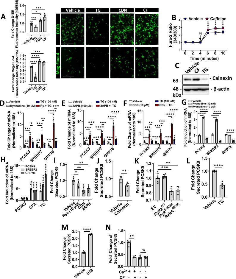 https://cdn.ncbi.nlm.nih.gov/pmc/blobs/9698/8828868/7aad53b3fd3e/41467_2022_28240_Fig3_HTML.jpg