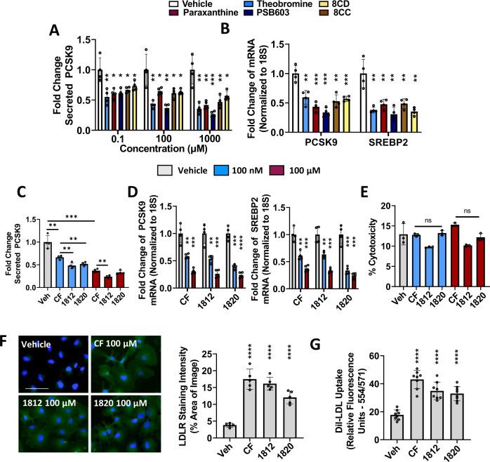https://cdn.ncbi.nlm.nih.gov/pmc/blobs/9698/8828868/f83959c6bb16/41467_2022_28240_Fig8_HTML.jpg
