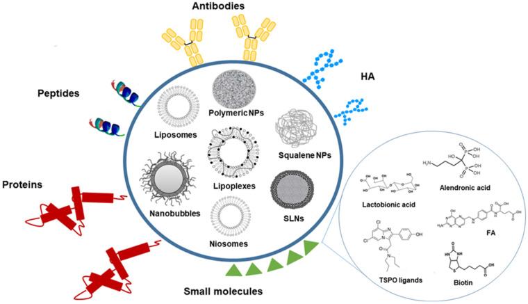 https://cdn.ncbi.nlm.nih.gov/pmc/blobs/9699/8540327/e62d53d09dd5/pharmaceutics-13-01538-g001.jpg