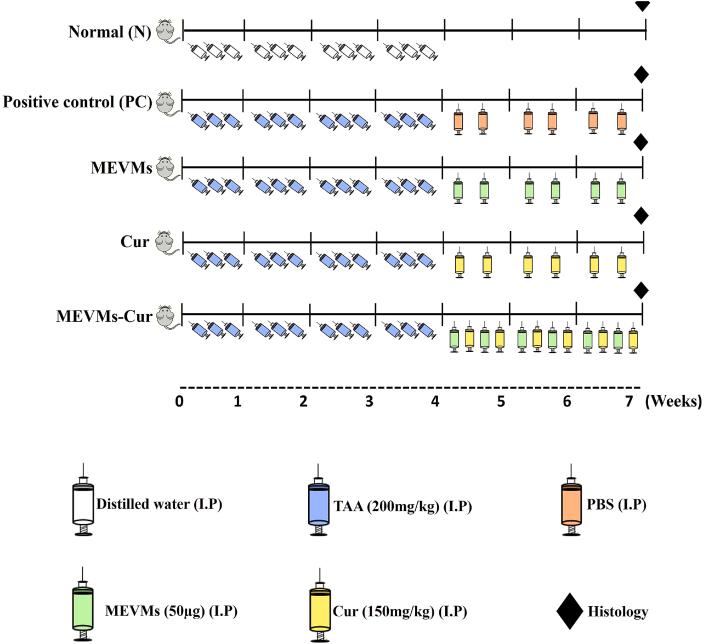 https://cdn.ncbi.nlm.nih.gov/pmc/blobs/969b/11535984/1edeac6f90eb/gr5.jpg