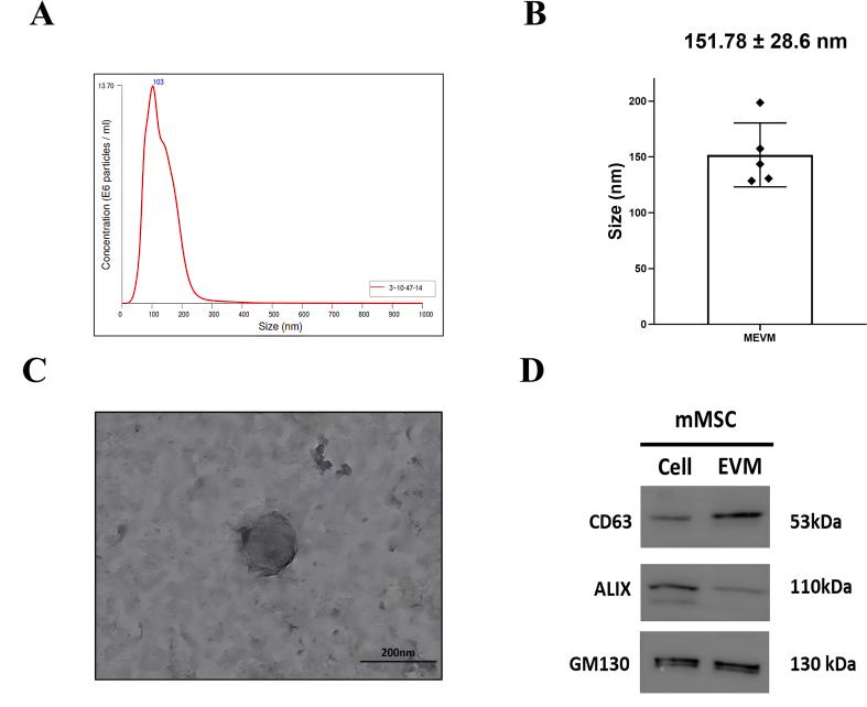 https://cdn.ncbi.nlm.nih.gov/pmc/blobs/969b/11535984/c8b496a2073f/gr2.jpg