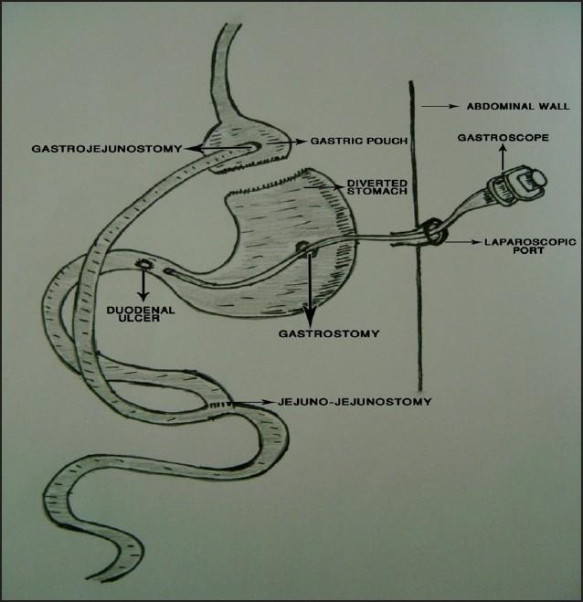 https://cdn.ncbi.nlm.nih.gov/pmc/blobs/969c/2850185/13272f2460db/ASM-30-67-g001.jpg