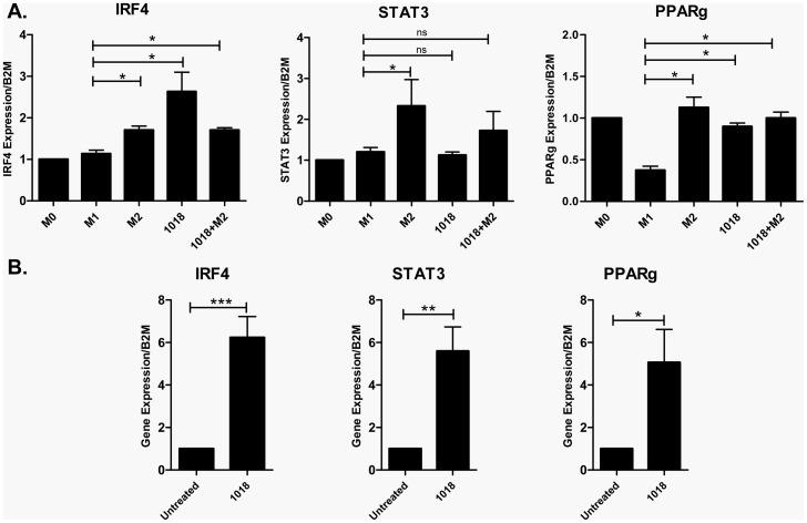 https://cdn.ncbi.nlm.nih.gov/pmc/blobs/969c/3538731/52ed32d465c6/pone.0052449.g005.jpg