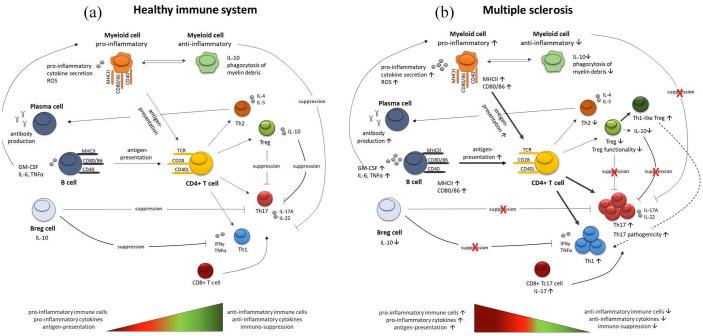 https://cdn.ncbi.nlm.nih.gov/pmc/blobs/969c/8053832/fc9f44c271c2/10.1177_17562864211007687-fig1.jpg