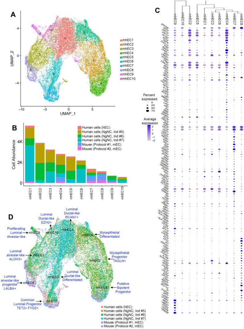 https://cdn.ncbi.nlm.nih.gov/pmc/blobs/969e/8217035/17ed0a9b144b/10911_2021_9486_Fig6_HTML.jpg