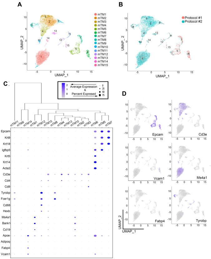https://cdn.ncbi.nlm.nih.gov/pmc/blobs/969e/8217035/501ba099c0fe/10911_2021_9486_Fig1_HTML.jpg