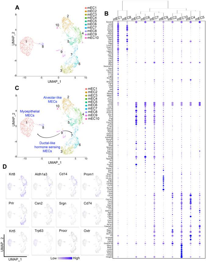 https://cdn.ncbi.nlm.nih.gov/pmc/blobs/969e/8217035/ebd22bb0f67d/10911_2021_9486_Fig2_HTML.jpg