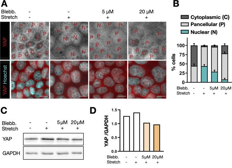 https://cdn.ncbi.nlm.nih.gov/pmc/blobs/969e/9041267/11a2bbe814aa/gr9.jpg
